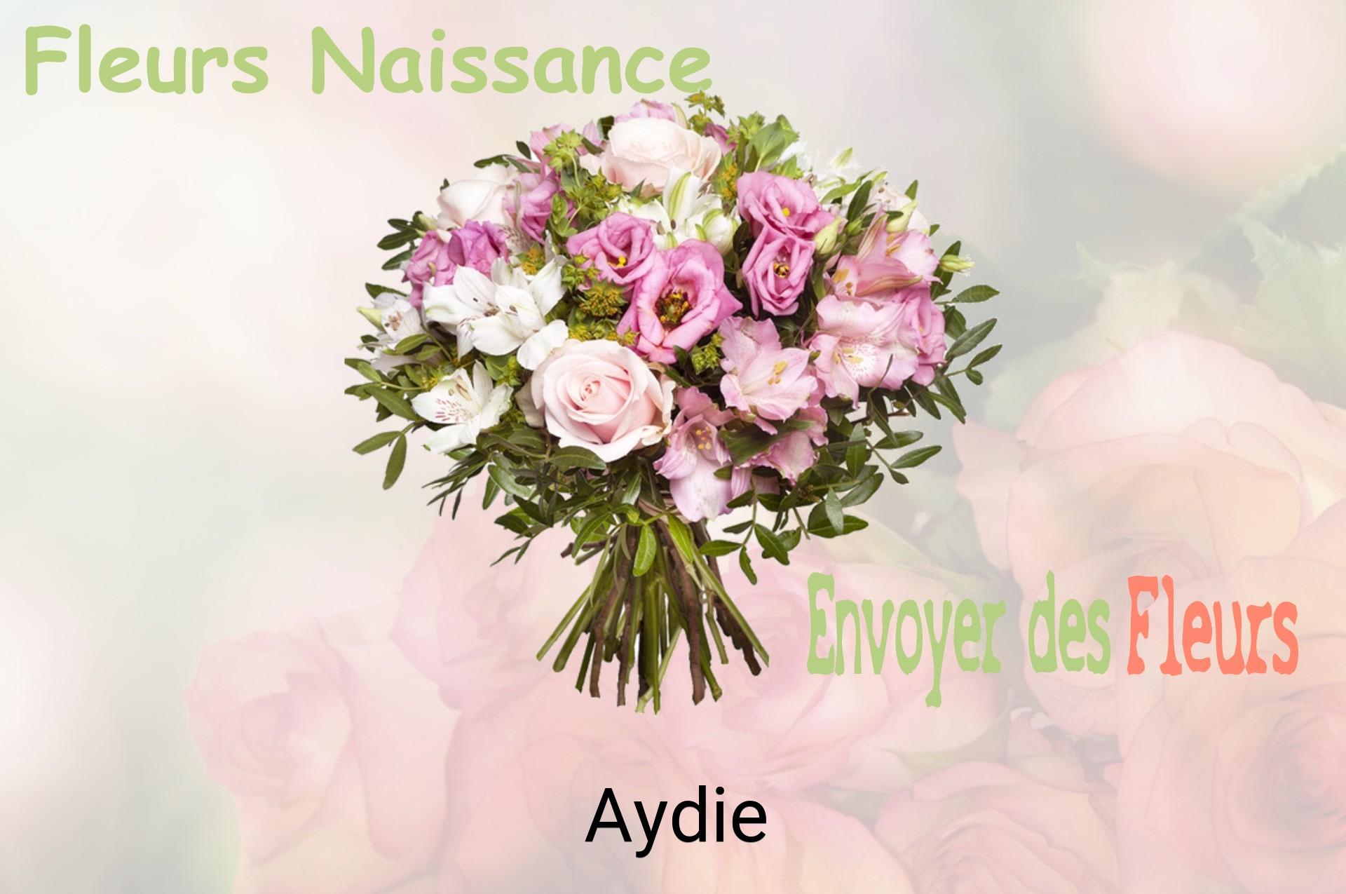 Bouquet de fleurs de naissance livré à Aydie