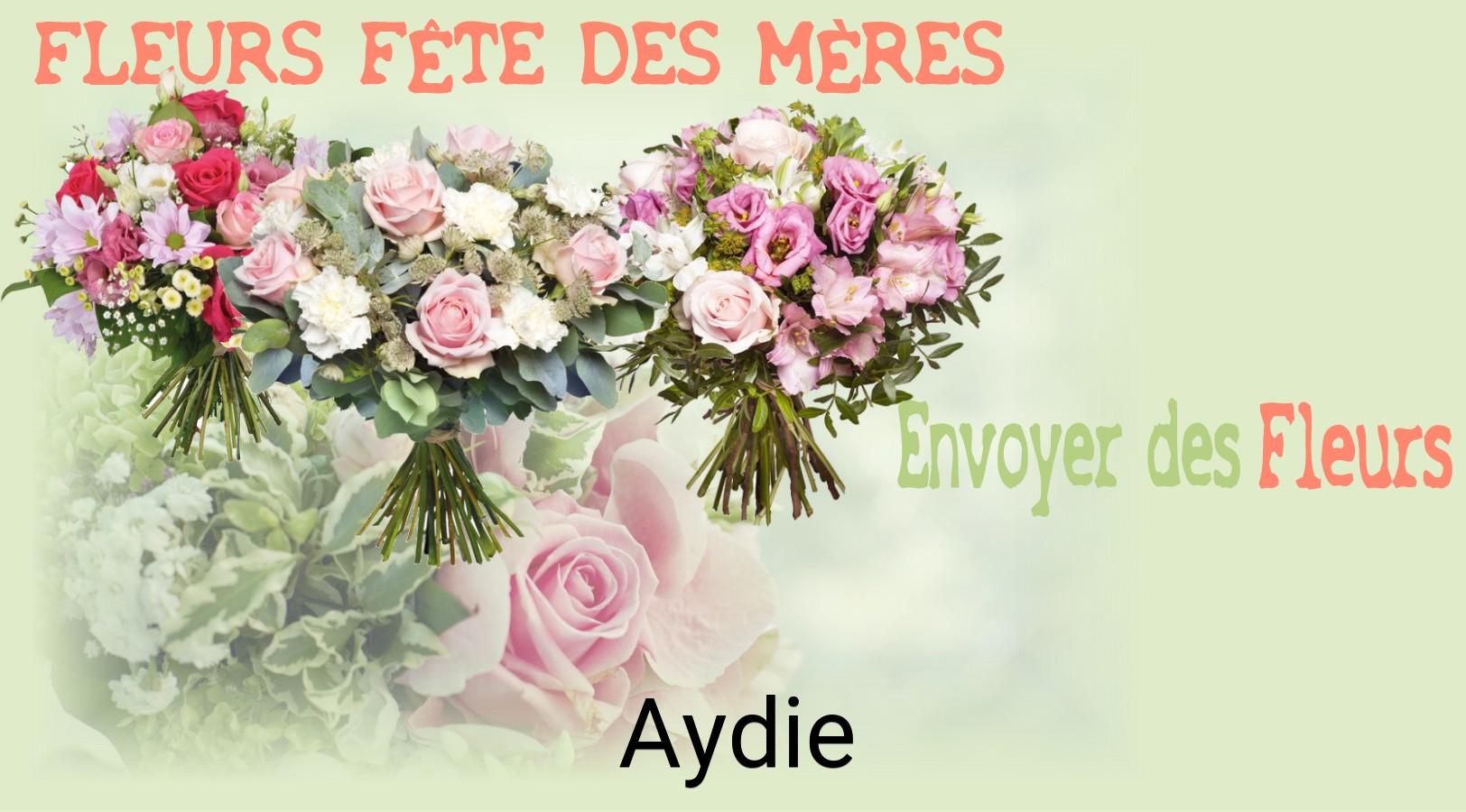 Bouquet de Fête des Mères livré à Aydie